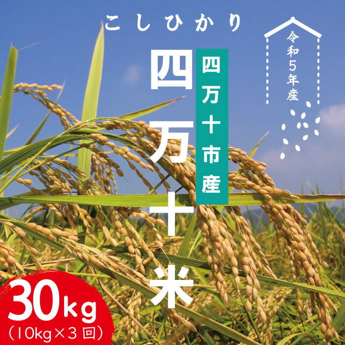 23-946．【令和5年産・3回定期便】四万十産 四万十米（コシヒカリ）10kg（5kg×2袋）×3回（計30kg） 定期便 こしひかり コシヒカリ 10kg 30kg 令和5年 2023年 精米 白米 米 おこめ ご飯 ごはん 四国 高知 四万十 しまんと お取り寄せ 送料無料