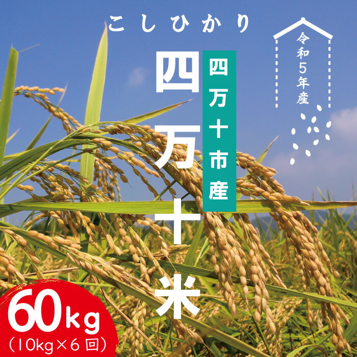 23-947．【令和5年産・6回定期便】四万十産 四万十米（コシヒカリ）10kg（5kg×2袋）×6回（計60kg） 国産 定期便 こしひかり コシヒカリ 10kg 60kg 令和5年 2023年 精米 白米 米 おこめ ご飯 高知 四万十 しまんと お取り寄せ 送料無料