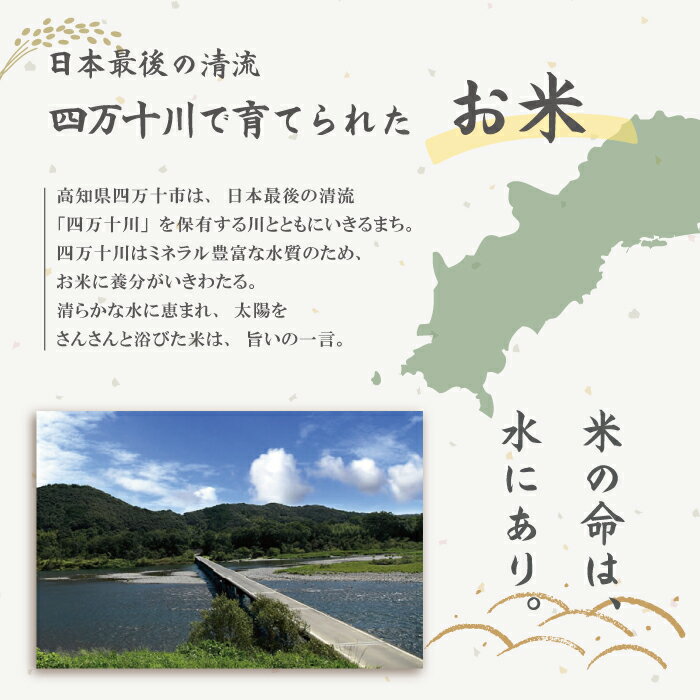 【ふるさと納税】23-048．【令和5年産・5回定期便】おいしい・あんしん・しまんとのお米　しまんと農法米（コシヒカリ）10kg×5回（計50kg） 定期便 こしひかり 50kg 令和5年 2023年 精米 白米 米 ご飯 高知 四万十 しまんと 送料無料 農法米 募金 四万十川