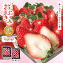 【ふるさと納税】【 早期受付 数量限定 】 苺 の貴婦人 おおきみ 化粧箱 2箱 贈答 ギフト フルーツ 果物 いちご イチゴ ストロベリー 高級 人気 大粒 ...