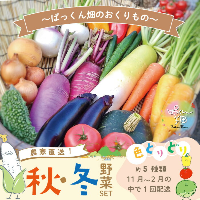 [早期受付]とれたて新鮮!ぱっくん畑のおくりもの〜農家直送!秋・冬野菜セット(約5種類)〜[2024年11月〜2025年2月の間に1回配送] 新鮮 野菜 高知県 高知 しまんと 野菜セット 野菜便 産地直送 お取り寄せ 送料無料 四万十市 秋野菜 冬野菜