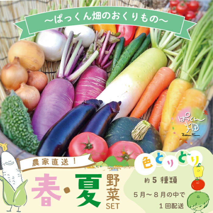 [早期受付]とれたて新鮮!ぱっくん畑のおくりもの〜農家直送!春・夏野菜セット(約5種類)〜[2024年5月〜8月の間に1回配送]南国 新鮮 野菜 ふるさと納税 国産 高知県 高知 しまんと 野菜セット お取り寄せ 送料無料 四万十市 春野菜 夏野菜