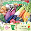 12位! 口コミ数「0件」評価「0」R5-800．【早期受付】とれたて新鮮！ぱっくん畑のおくりもの～農家直送！春・夏野菜セット（約5種類）～【2024年5月～8月の間に1回配送･･･ 