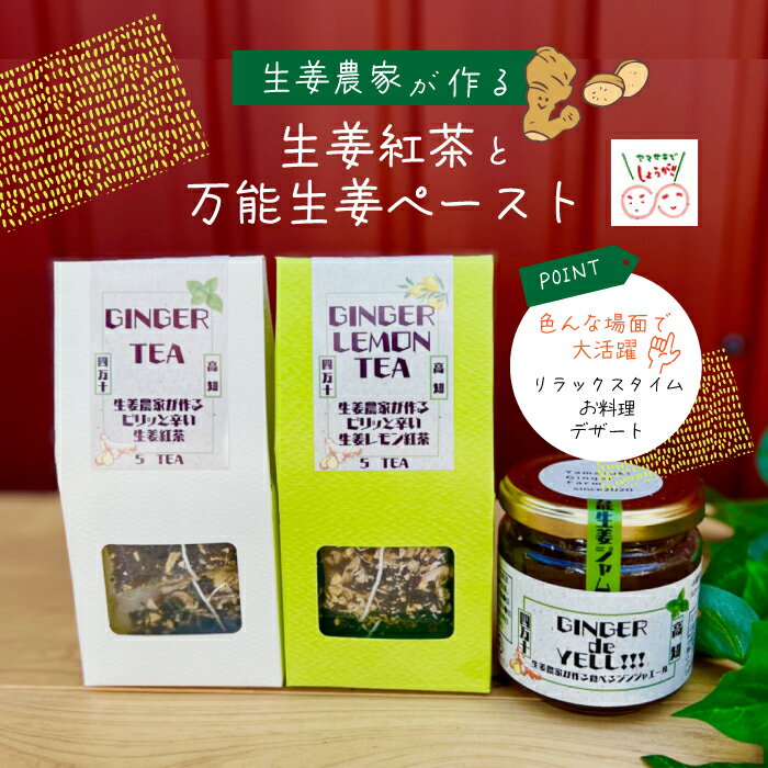 生姜農家が作った四万十市産万能生姜ペースト&生姜紅茶セット 高知県 高知 四万十市 四万十 しまんと 農作物 しょうが 特産しょうが 生姜 ジンジャー ショウガ 野菜 ペースト 国産 送料無料 紅茶 ティー お茶 茶 セット 加工品