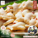 【ふるさと納税】24-818.【 早期受付 期間限定 】みずみずしさがたまらない! 新生姜 約4kg 高知県 高知 四万十市 四万十 しまんと 農作物 特産 し...