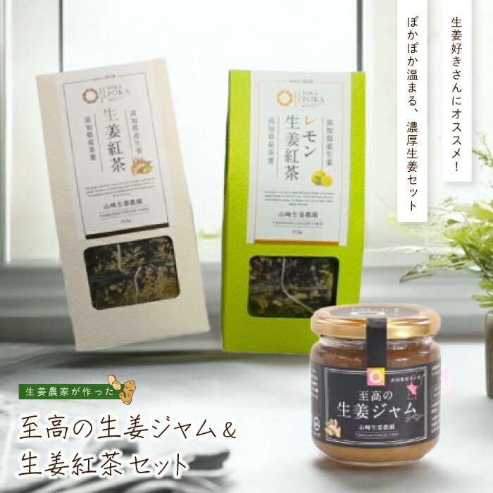 山崎生姜農園 生姜農家 が作った 至高の 生姜ジャム & 生姜紅茶 セット 生姜 しょうが ショウガ ジンジャー ジャム 濃厚 加工品 食品 グルメ ティーパック 茶葉 お茶 紅茶 おいしい ドリンク 飲料 高知県 高知 四万十市 四万十 しまんと 送料無料 25-745
