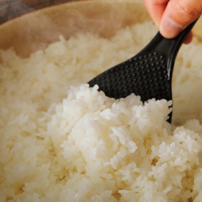 高知県四万十市の画像3