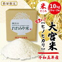 27位! 口コミ数「0件」評価「0」R5-789．【令和5年産・数量限定】四万十の米どころ！山間地域で育てた大宮米(ヒノヒカリ) 10kg 高知県 こうち 四万十 しまんと 国･･･ 