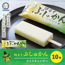 20位! 口コミ数「0件」評価「0」R5-443．ひんやりスッキリ爽やか！四万十市産のぶしゅかんを使った四万十ぶしゅかんアイスキャンデー 10本入り セット 冷凍 アイス おす･･･ 