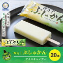 15位! 口コミ数「0件」評価「0」R5-444．ひんやりスッキリ爽やか！四万十市産のぶしゅかんを使った四万十ぶしゅかんアイスキャンデー 20本入り セット 冷凍 アイス おす･･･ 