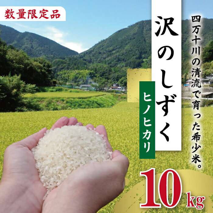 [令和5年産]沢のしずく(ヒノヒカリ)10kg 限定 ひのひかり 10kg 令和5年 2023年 精米 白米 米 おこめ こめ コメ ご飯 ごはん 高知 四万十 しまんと お取り寄せ 送料無料 四万十川