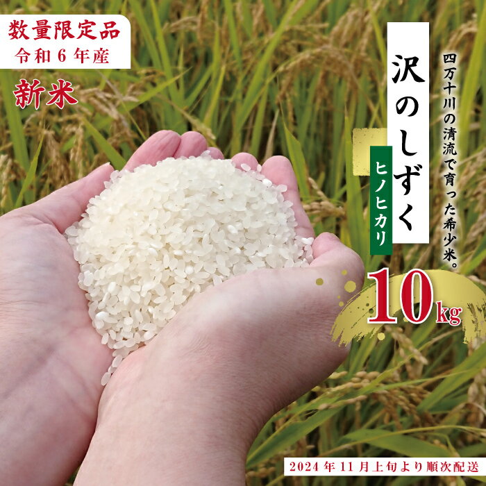 【ふるさと納税】24-739．【令和6年産新米・早期受付】 沢のしずく ヒノヒカリ 10kg 限定 ひのひかり 令和6年 2024年 新米 早期 先行 白米 精米 白米 米 おこめ こめ コメ ごはん 高知 四万十 しまんと お取り寄せ 送料無料 四万十川【2024年11月上旬より順次配送】