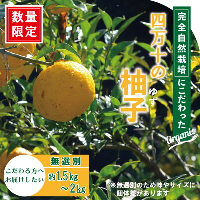 楽天ふるさと納税　【ふるさと納税】R5-918．【早期受付・期間限定】栽培期間中農薬・化学肥料不使用！四万十の柚子 約1.5～2kg 8～15個 先行 予約 限定 国産 高知 フレッシュ ゆず ユズ 柚子 柑橘 果物 フルーツ 四万十 しまんと お取り寄せ 送料無料【発送時期：2024年11月初旬～下旬まで】