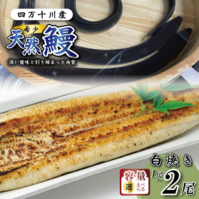 希少 四万十川産[天然うなぎ]白焼き 1尾(約200g) 天然うなぎ 天然 四万十川 希少 鰻 ウナギ うなぎ お取り寄せ グルメ 食べ物 食品 おかず 国産鰻 白焼 うなぎ白焼き ウナギ白焼き 鰻白焼 冷凍 国産 高知 高知県 四万十 四万十市 25-99