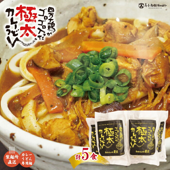 【ふるさと納税】R5-185.四万十鶏がゴロゴロ入った極太カレーうどん 5食セット 国産 高知 四万十 うどん スパイシー カレー お取り寄せ グルメ 送料無料