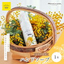 【ふるさと納税】【 ミアミモザ 】ミアミモザ ハンドソープ 50ml 1本 天然香料 が ふんわり 広がる クリーミー 泡 手洗い 液体 石鹸 せっけん ギフト...