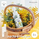 【ふるさと納税】【 ミアミモザ 】ミアミモザ ハンドクリーンジェル 100ml 1本 天然香料 が ほのかに香る ギフト プレゼント 贈答 贈り物 美容 コスメ...