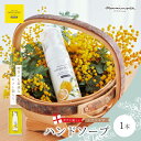 【ふるさと納税】【 ミアミモザ 】【 ギフト箱入 】ミアミモザ ハンドソープ 50ml 1本 化粧箱 ギフト箱 天然香料 が ふんわり 広がる クリーミー 泡 ...