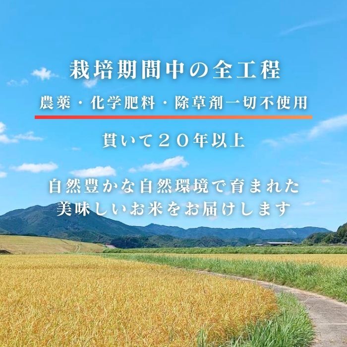 【ふるさと納税】【令和7年産】四万十市産 コシヒカリ 玄米 5kg 9kg 20kg 栽培期間中農薬・ 化学肥料・除草剤不使用 国産 こしひかり 令和7年産 2025年産 米 おこめ こめ コメ ご飯 高知 四万十 しまんと 農家直送 蕨岡の百姓 福留壯 オーガニック お取り寄せ 送料無料