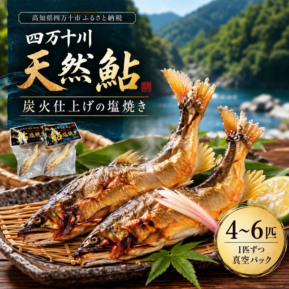 26-839．炭火でじっくり焼いた四万十川天然鮎の塩焼き4〜6匹 ふるさと納税 おかず
