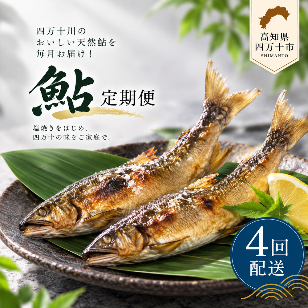 26-851．【4回定期便】鮎づくし！清流四万十川で育った天然鮎の定期便 人気 グルメ 定期便 国産 魚介 魚 天然 鮎 あゆ アユ コンフィ 缶詰 焼き魚 干物 パエリア 惣菜 おかず 四万十川 高知 四万十 しまんと 送料無料
