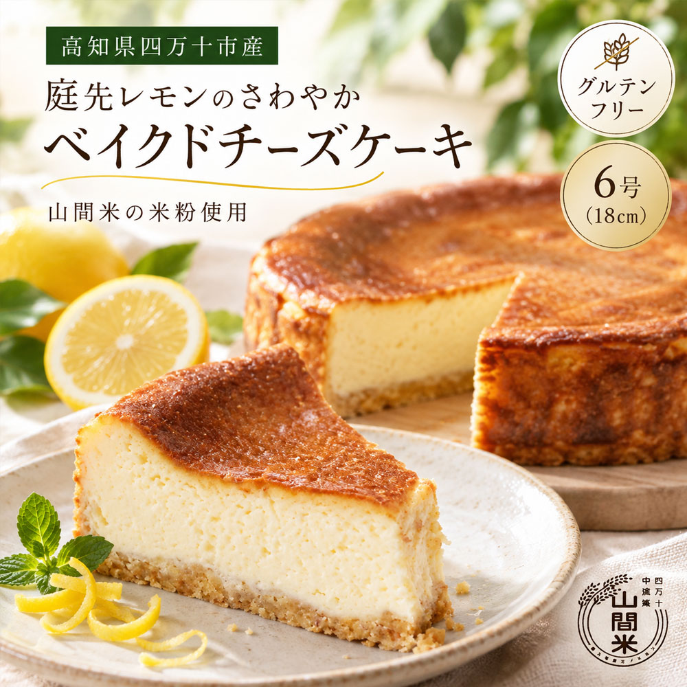 26-691．グルテンフリー！庭先レモンのさわやかベイクドチーズケーキ