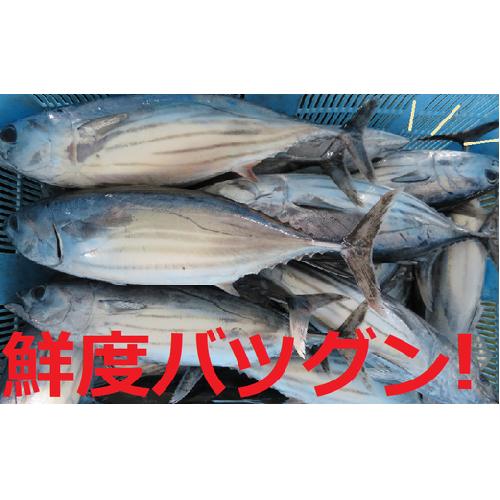 高知県四万十市の画像3