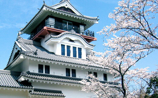 高知県四万十市の画像3