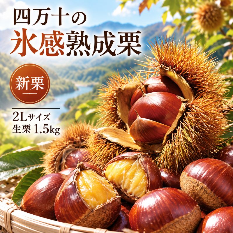 24-592．【 早期受付 数量限定 】甘さUP！贅沢 四万十の 氷感熟成栗 2Lサイズ 生栗 約 1.5kg 栗 くり マロン フルーツ 果物 熟成 期間限定 国産 産地直送 旬 秋 高知 四万十 しまんと 送料無料 【2024年11月上旬～12月下旬発送】