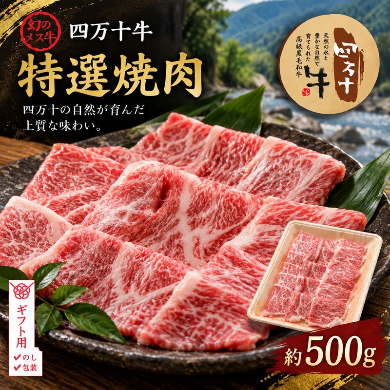 【ギフト用（包装・のし対応）】【ふるさと納税】26-977G．幻のメス牛 四万十牛特選焼肉（約500g） 国産 高知 しまんと 四万十 四万十牛牧場直売 肉 牛肉 黒毛和牛 ご褒美 焼肉 リブロース 肩ロース バーベキュー BBQ 包装 のし サマーギフト お中元 残暑見舞い 暑中見舞い