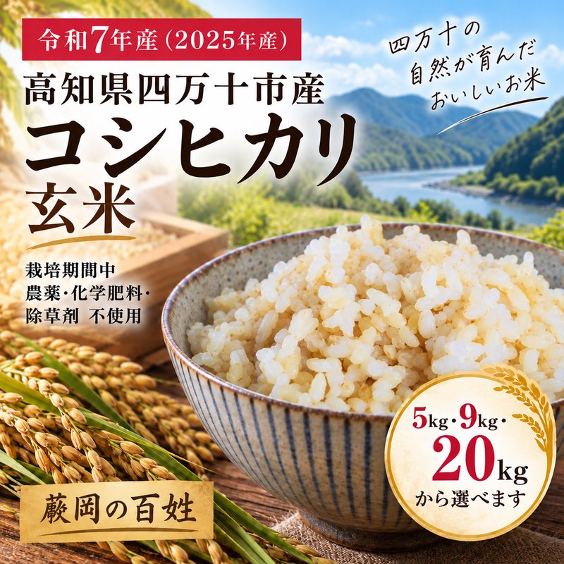 【令和7年産】四万十市産 コシヒカリ 玄米 5kg 9kg 20kg 栽培期間中農薬・ 化学肥料・除草剤不使用 国産 こしひかり 令和7年産 2025年産 米 おこめ こめ コメ ご飯 高知 四万十 しまんと 農家直送 蕨岡の百姓 福留壯 オーガニック お取り寄せ 送料無料