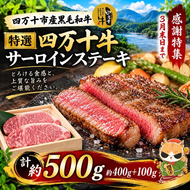 【感謝・期間限定100g付き】 ＜100個限定＞ 牧場直送 四万十牛（メス牛）特選 サーロインステーキ 約500g（400g＋100g）国産 高知 しまんと 四万十 四万十牛 メス牛 牧場直売 肉 牛肉 黒毛和牛 ご褒美 四万十市 霜降り 【2026年3月31日までの受付】26-980Z