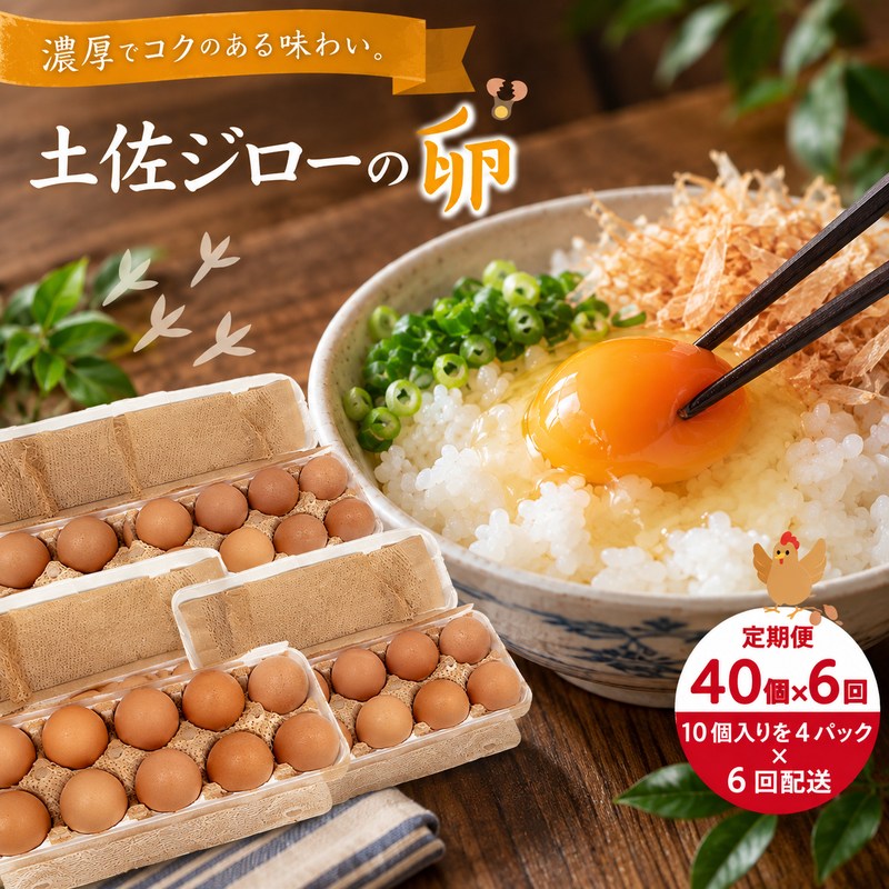 【定期便6回】濃厚でコクのある味わい！のびのび育った土佐ジローの自然卵40個（10個入り×4パック）【合計240個】卵 玉子 たまご 鶏卵 土佐ジロー 自然卵 新鮮 旨味 濃厚 コク おいしい 自慢 こだわり卵 高知 高知県 四万十市 産地直送 送料無料 26-1016