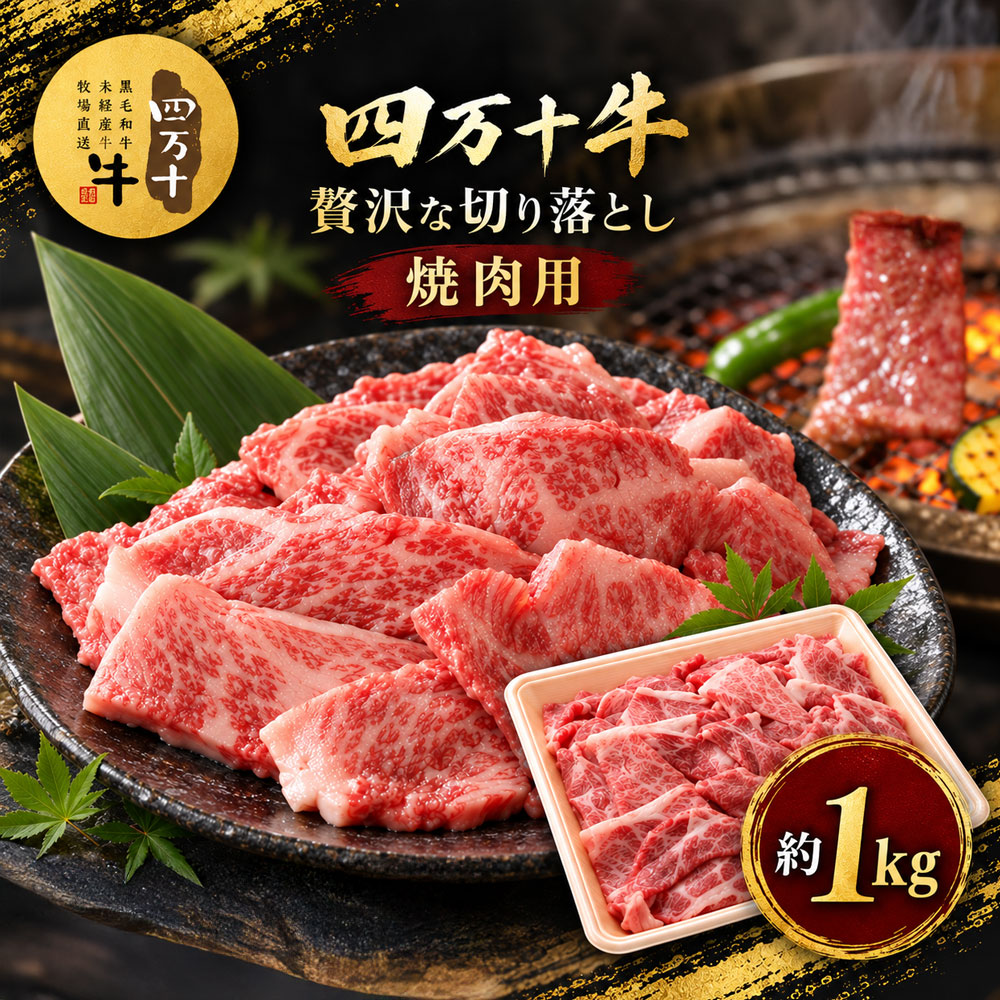 26-979．幻の四万十牛 四万十産黒毛和牛 焼肉用 切り落とし 約1kg ふるさと納税 高知 肉 黒毛和牛 お取り寄せ 産地直送 送料無料