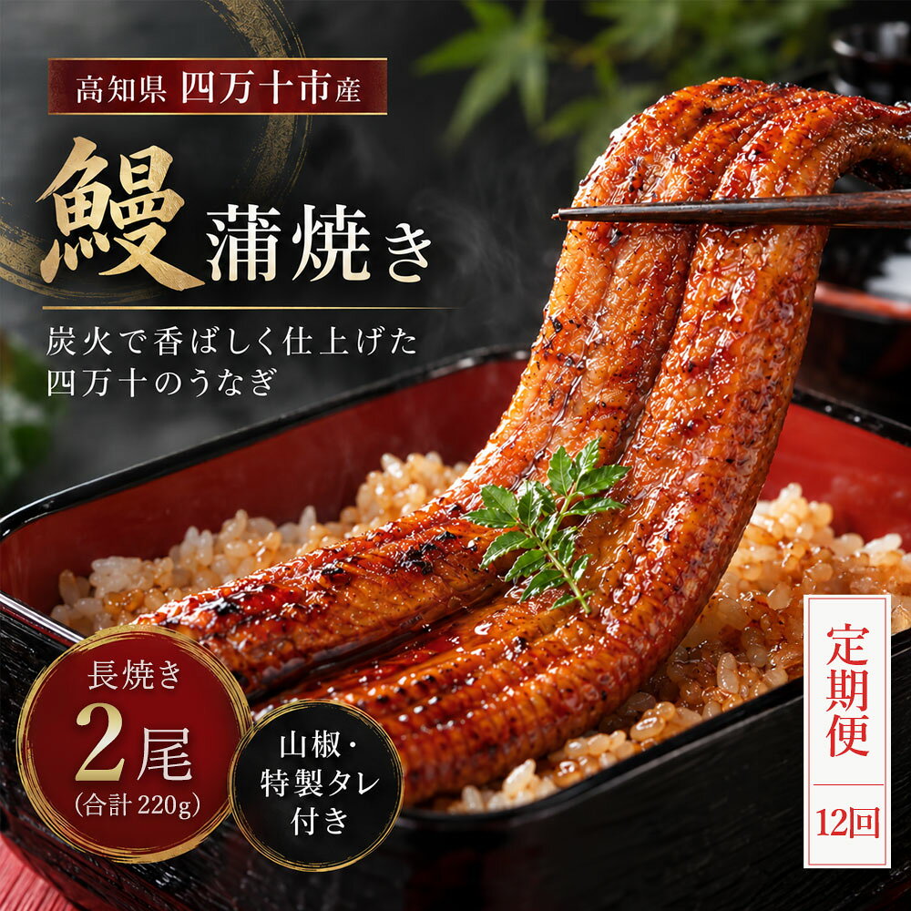 26-1061．【12回定期便】お楽しみ企画 12ヵ月連続＜四万十食品＞うなぎ蒲焼 長焼2尾／BC 国産 高知 四万十 鰻 ウナギ お取り寄せグルメ 国産鰻 蒲焼 鰻蒲焼 2尾 定期便 送料無料