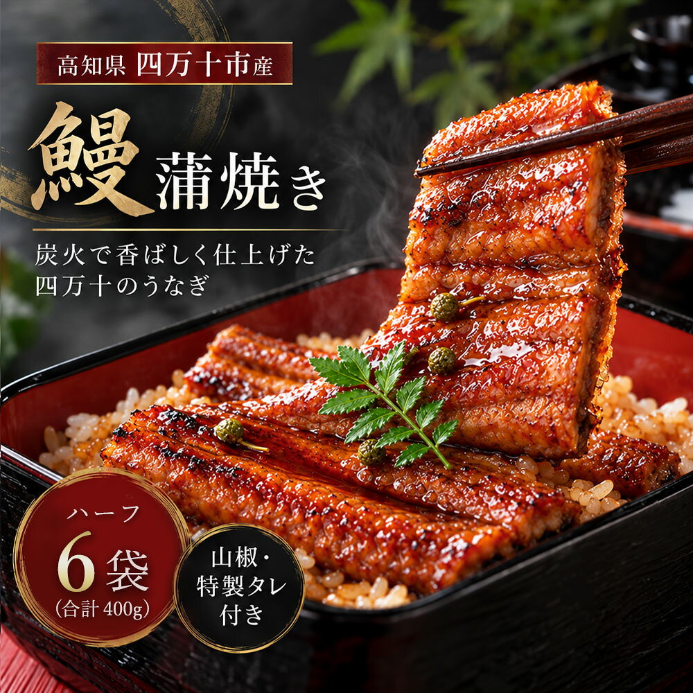 [ギフト用(包装・のし対応)]26-361G.[四万十食品]うなぎ蒲焼 ハーフ6袋/CD 国産 高知 四万十 しまんと 鰻 ウナギ うなぎ お取り寄せグルメ 国産鰻 蒲焼 鰻蒲焼 うな重 鰻重 小分け ハーフ ギフト 贈答 送料無料