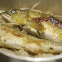 【ふるさと納税】〈10月〜12月発送〉物部川のキレイな伏流水...