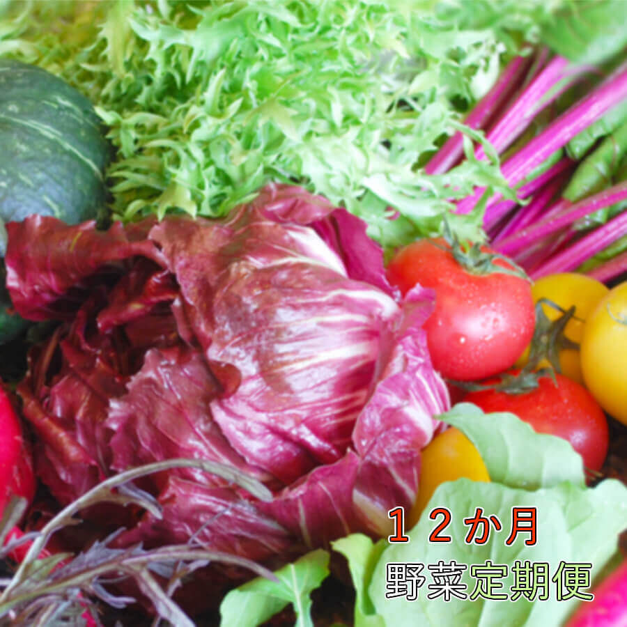 野菜 | ふるさと納税の返礼品一覧 (人気順)【2022年】 | ふるさと納税ガイド