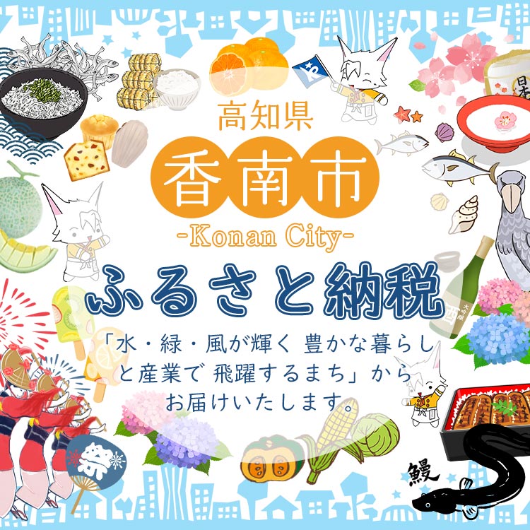 【ふるさと納税】文旦 訳あり 10kg 送料無料間城農園の土佐文旦（家庭用）10kg先行予約 ※2月から発送