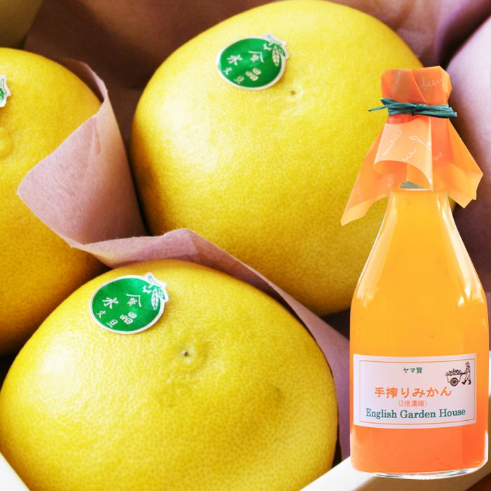水晶文旦2〜6玉とみかんジュース300ml - 送料無料 ぶんたん のし 柑橘 フルーツ 果物 飲み物 ドリンク 飲料 文旦とジュース 数量限定 お取り寄せ 国産 特産品 高知県 香南市【常温】 eh-0023