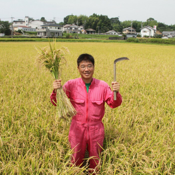 【ふるさと納税】おいしいコシヒカリ！ 土佐の米よさこい舞5kgが大人気返礼品になっている理由とは　ふるさと納税　人気　返礼品　ランキング