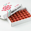 【ふるさと納税】★高知県産 夜須のフルーツトマト2kg送料無...