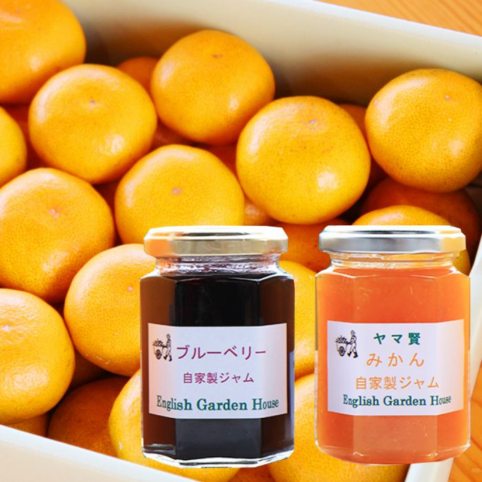 露地みかん3kgと自家製ジャムセット - 送料無料 ギフト のし 蜜柑 柑橘 ミカン フルーツ 果物 デザート 調味料 お取り寄せ 国産 特産品 高知県 香南市【常温】 eh-0025