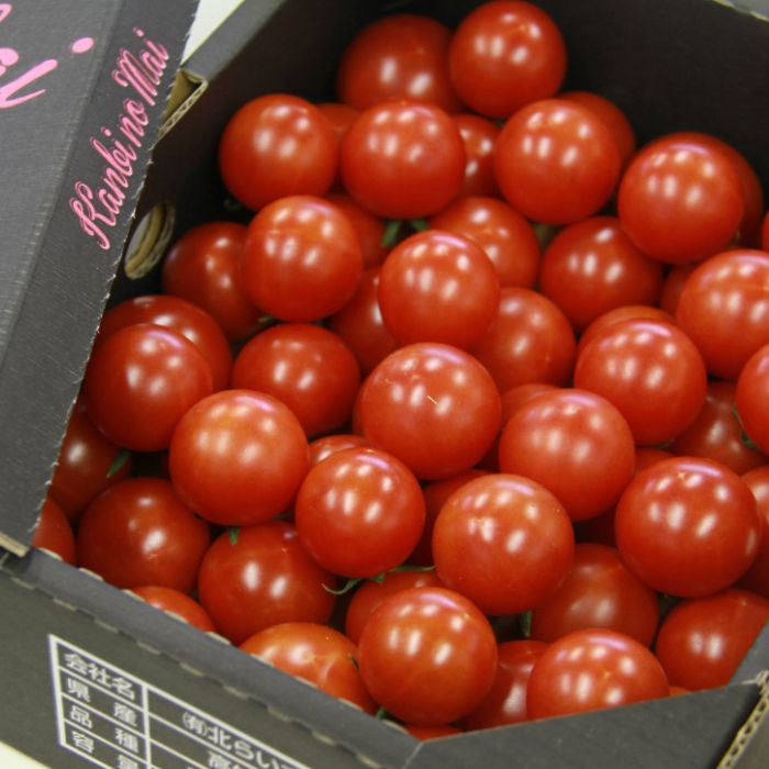 佐賀県基山町  お得 ふるさと納税 A3-116F  限定100セット にしてつ農園トマト ミディトマト２kg