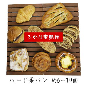 【ふるさと納税】【定期便】厳選された材料にこだわった パンいろいろ詰合せ(ハード系パン) 3回 - 送料無料 3ヶ月 約6〜10個×3か月パン大好き たまらない 届いてからのお楽しみ ギフト贈り物 高知県 香南市 3C-228【冷凍】