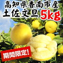 【ふるさと納税】〈2月〜4月発送〉間城農園の土佐文旦5kg...