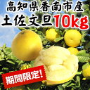 【ふるさと納税】〈2月〜4月発送〉間城農園の土佐文旦10kg...