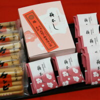 【ふるさと納税】西川屋 元祖ケンピ・梅不しセット送料無料 のし 贈り物 ギフト家庭用 高知土産 おやつ おすそ分け 和菓子 2種類A-270