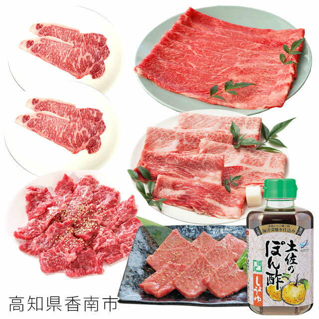 【ふるさと納税】香南のプレミアム福袋和牛 牛肉 サーロイン カルビ もも 肩ロースステーキ すき焼き しゃぶしゃぶ 焼肉 鍋 セット【saneyam】【送料無料】　T-18