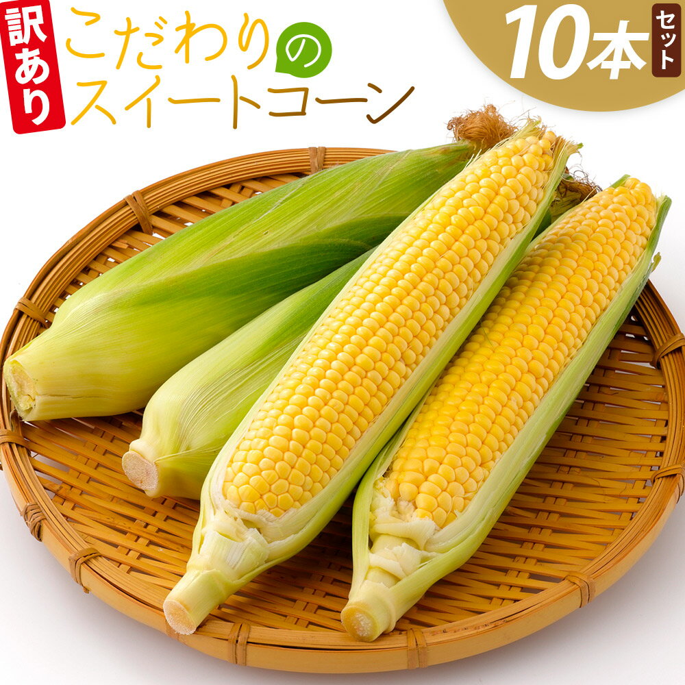 [数量限定]こだわりのスイートコーン 訳あり 10本セット - 国産 朝採れ 新鮮 トウモロコシ とうもろこし コーン 野菜 青果 訳アリ ご家庭用 家庭用 アルカナファーム 高知県 香南市[冷蔵] af-0007